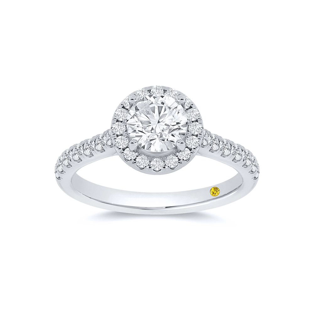 Lab Created Halo Diamond Engagement Ring | Teri