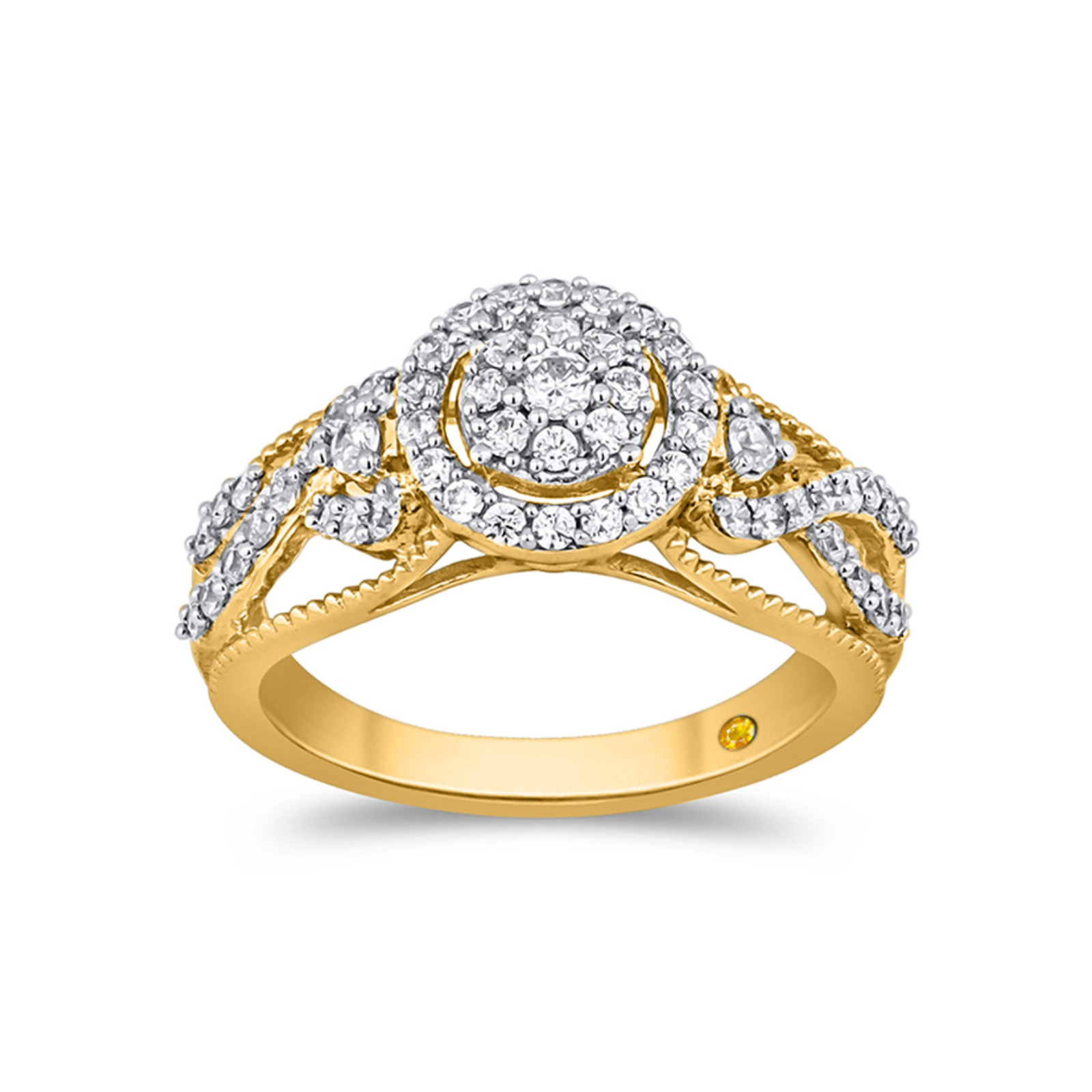 Lab Created Halo Diamond Engagement Ring | Arya