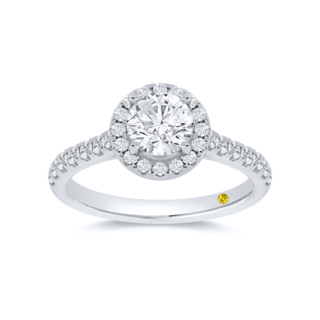 Flare Cathedral Halo Round Lab Created Diamond Engagement Ring