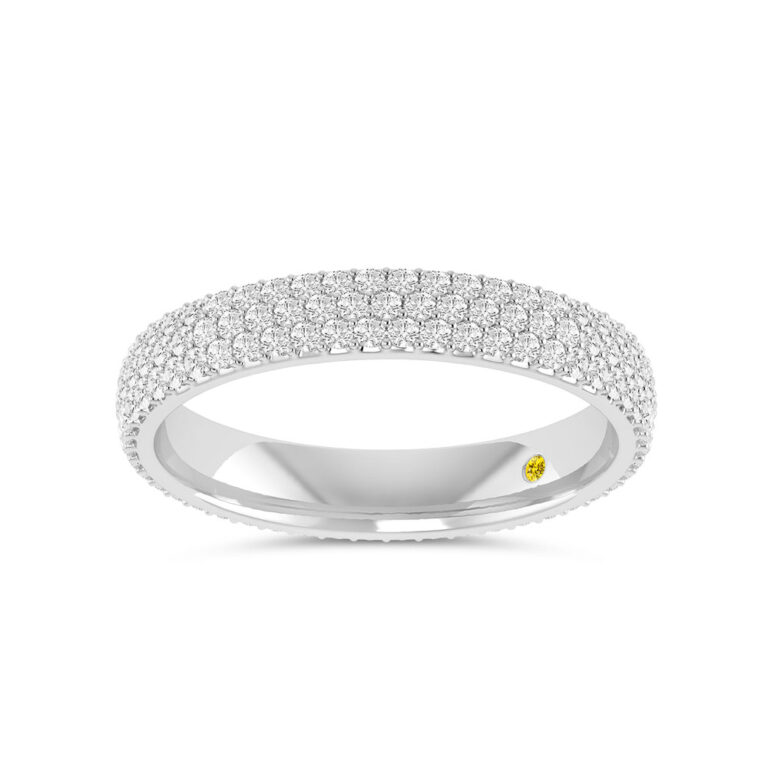 Chante Full Coverage Lab Grown Eternity Diamond Ring