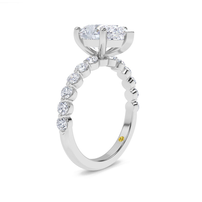 Frost Shared Prong Lab Grown Diamond Engagement Ring