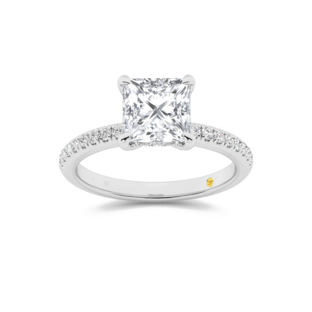 Aurelia Three Quarter Coverage Hidden Halo Princess Cut Lab Grown Diamond Engagement Ring