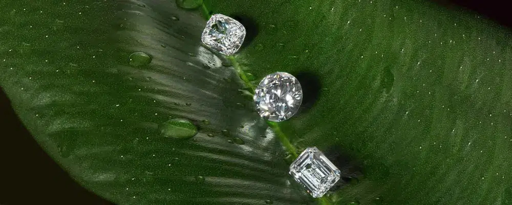 Three loose conflict-free diamonds showcasing cushion, round brilliant, and emerald cuts with water droplets on a green leaf.